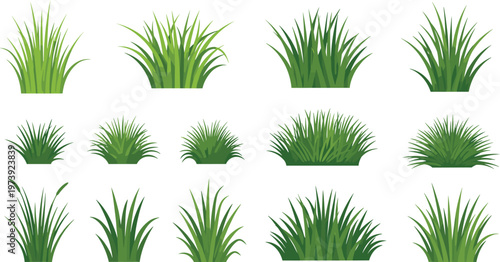 Green Grass Collection with Different Bush and Lawn Shapes Natural Garden Plant Vector Set Isolated on White Background