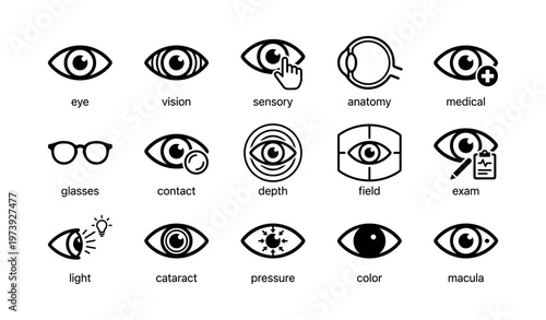 Eye icons: vision, sensory, anatomy, and medical symbols