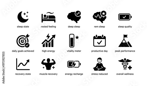 Icons illustrating sleep state, vitality, productivity, and wellness achievements