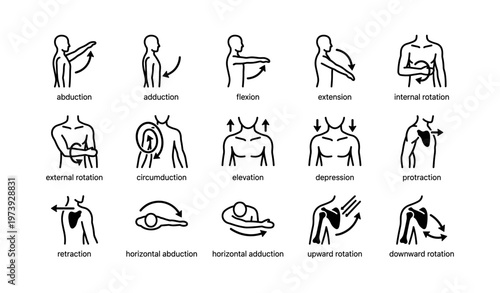 Vector diagrams of human arm joint movements with titles and arrows