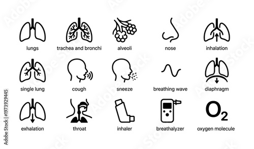 Respiratory system icons: lungs, trachea, alveoli, nose, inhalation, exhalation, breathing tools