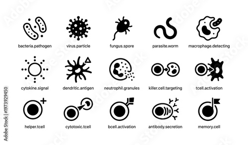 Immune system icons: pathogens, cells, and reactions