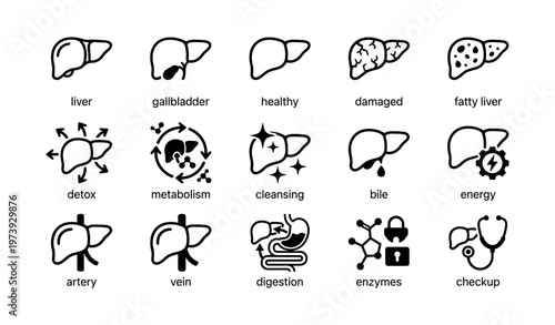 Liver health icons set: gallbladder, metabolism, detox, bile, enzymes