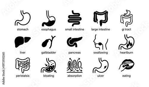 Digestive system icons: stomach, intestines, liver, gallbladder, pancreas