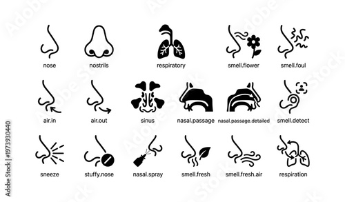 Nose and respiratory system icons: airflow, smell, sinus and respiration symbols