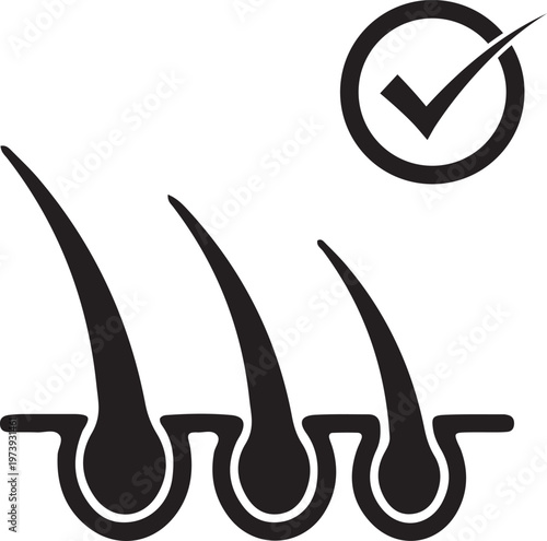 Hair follicle growth stages with checkmark icon