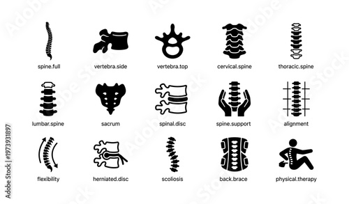Spine and vertebra icons collection for medical and health communication