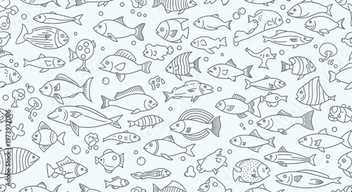 Variety of Different Fish Species.