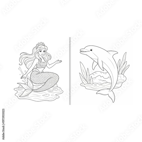 Mermaid and dolphin line art illustrations