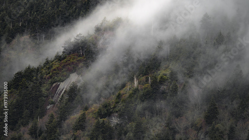 Misty clouds rolling through forested mountainside on moody overcast day in mountain wilderness. Dense fog drifts between evergreen and deciduous trees creating atmospheric landscape scene.