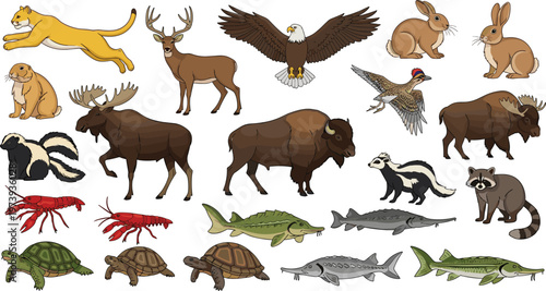 Wild Forest and Marine Animals Vector Illustration Set Featuring Eagle, Deer, Moose, Bison, Rabbit, Skunk, Fish, Turtle, Lobster, and More in Detailed Style.