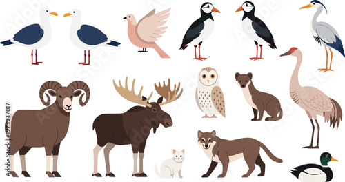 Forest and Arctic Animals Vector Illustration Set Featuring Birds, Moose, Ram, Owl, Fox, Wolf, and Waterfowl in Flat Cartoon Style for Nature Design.