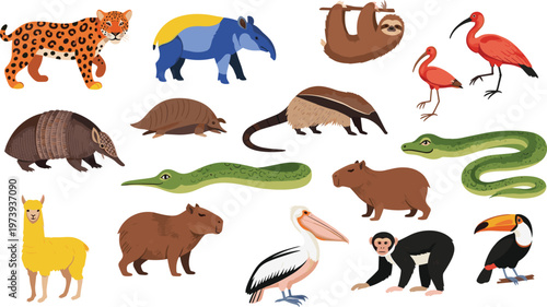 Exotic Wildlife Animals Vector Illustration Set Featuring Leopard, Tapir, Sloth, Flamingo, Armadillo, Anteater, Snake, Capybara, Pelican, Monkey, and Toucan in Flat Style.