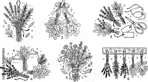Black and white detailed line art bundles of herbs tied with ribbons scissors and labels for coloring book pages floral aromatic plants objects arranged in neat composition vector line drawing