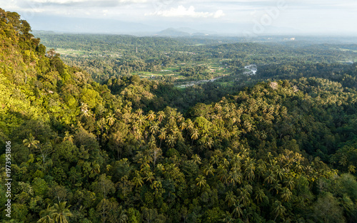 Lush green rainforest landscape with mountains and valleys under a clear sky during golden hour