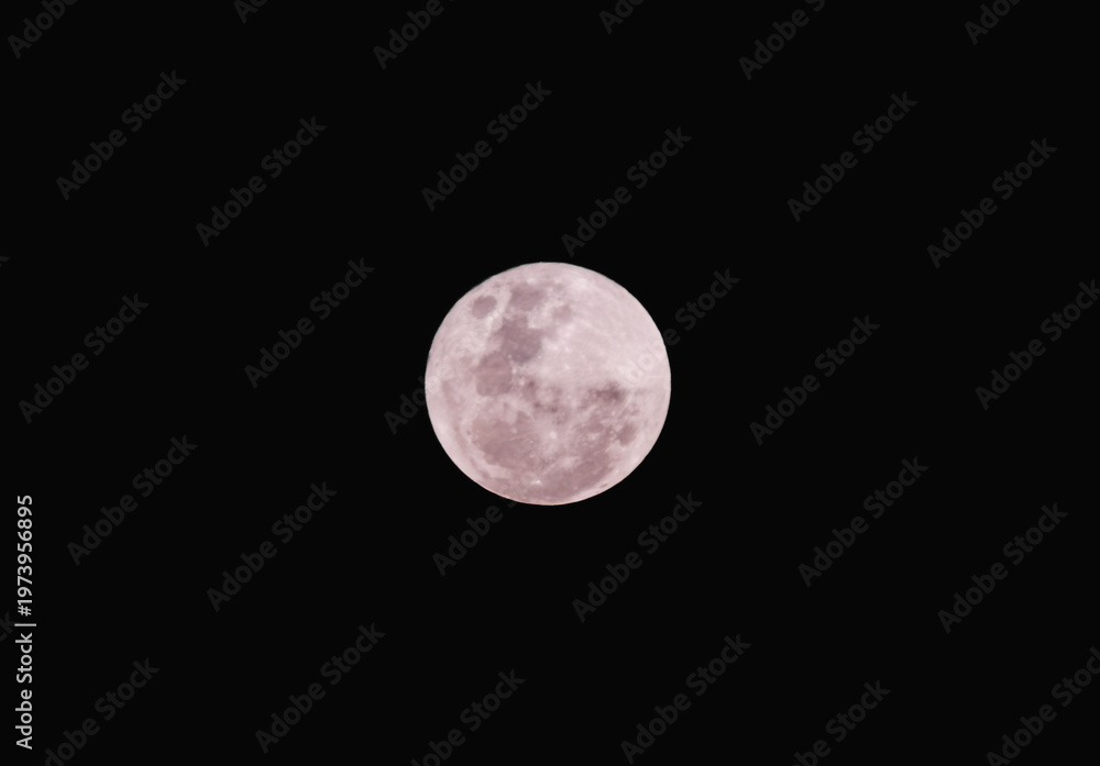 Fototapeta premium Full Moon Glowing in the Dark Night Sky