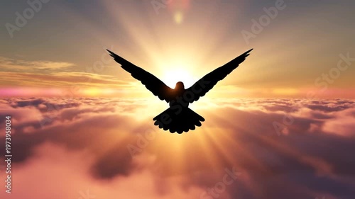 Bird flying above sunset clouds.