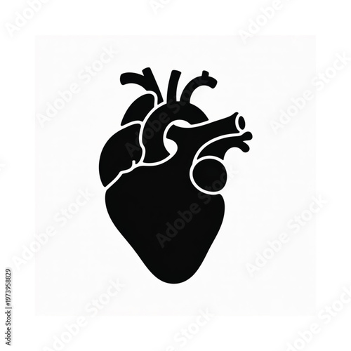 Stylized black silhouette of a human heart against a white background