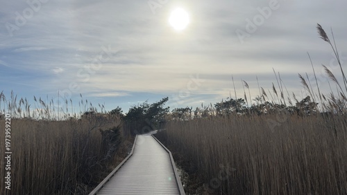 Way