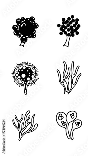Microscopic Fungi Icons Set: Mold, Yeast, Spores, Mycelium Illustrations