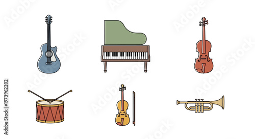 Musical Instruments Collection Various Types.