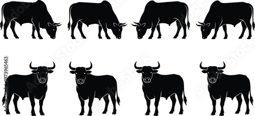 Collection of cow silhouettes in different poses, livestock set, farm animals illustration, agriculture concept, cattle icons isolated on light background