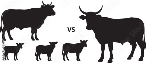 Silhouettes of large and small cows facing each other