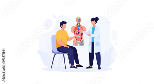 Doctor examining patient's internal organs, medical consultation, anatomy illustration