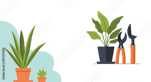 A minimalist vector graphic showcasing several potted indoor plants alongside professional gardening pruners on a clean white backdrop.
