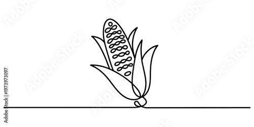 Minimalist continuous line drawing of a single ear of corn isolated on a plain white background Vector, illustration