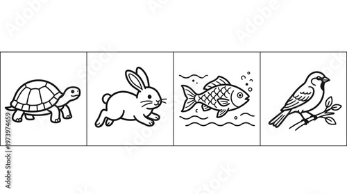Black and White Line Art Animal Illustrations for Education: Turtle, Rabbit, Fish, Bird