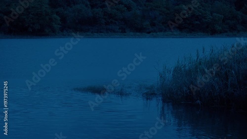 Marsh With Reeds And Water In The Evening