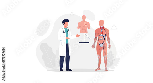 Doctor Explaining Human Anatomy with Anatomical Models