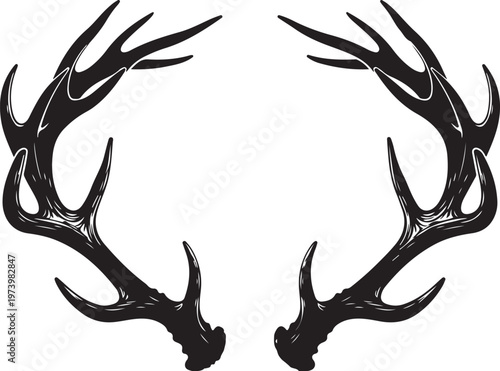 Black Deer Antlers Isolated on White Background Illustration