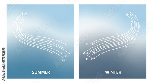 Summer and winter wind pattern comparison diagram showing atmospheric airflow directions with w indicators on a clean blue gradient background vector