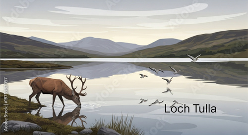 Majestic stag drinking from the calm water of Loch Tulla in the Scottish Highlands at sunset flat vector landscape illustration
