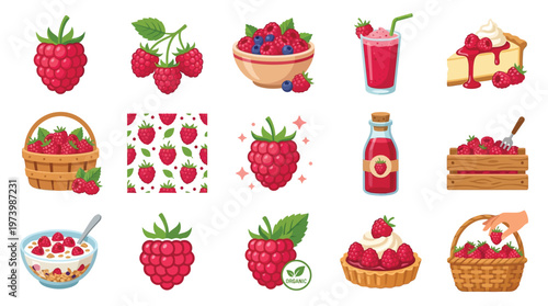 A vibrant collection of illustrations showcasing ripe raspberries in various forms, including fresh berries, desserts, drinks, and decorative patterns.
