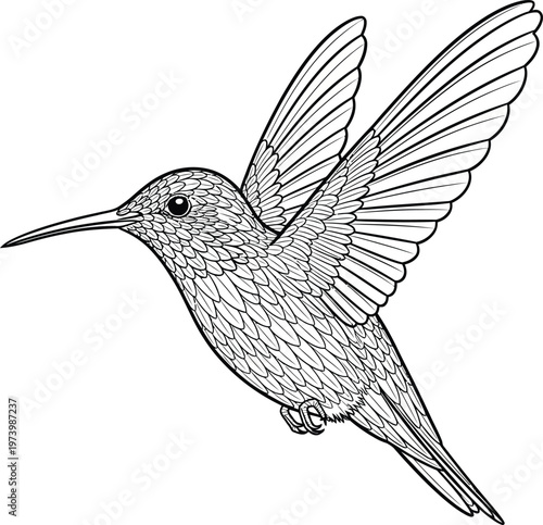 Black and white line art illustration of a hummingbird in flight.
