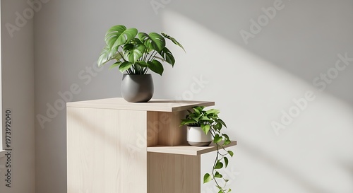 Houseplants arranged on stylish wooden cabinet with soft, natural light