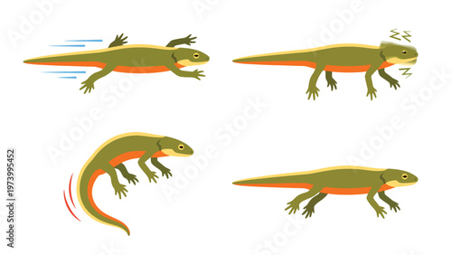 Cartoon Newt Actions: Running, Sleeping, Jumping, and Walking Amphibian Illustration Set
