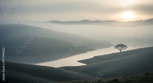 Serene dawn view over rolling hills with lonely tree silhouette