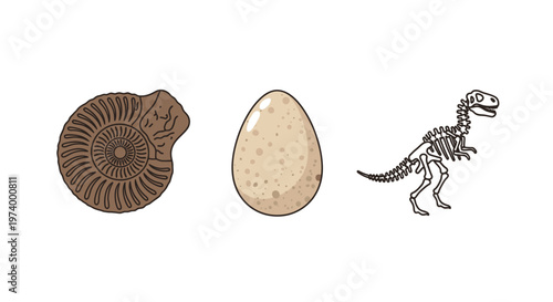 Fossil dinosaur egg and skeleton.