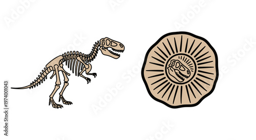 Dinosaur skeleton standing on ground.