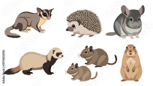 Various Small Mammals & Exotic Pets Illustration Set: Sugar Glider, Hedgehog, Chinchilla, Ferret, Degu, Prairie Dog