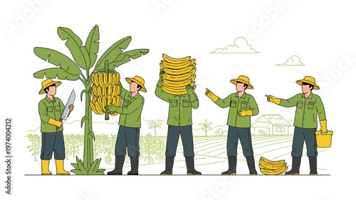 Harvest Harmony: A vibrant illustration showcasing diligent farmers working in unity to gather the sweet bounty of ripe bananas, a testament to agricultural abundance.