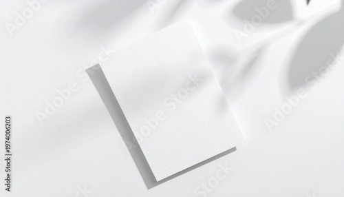 Clean White Square Card Floating in Sunlight with Leaf Shadows, Product Mockup