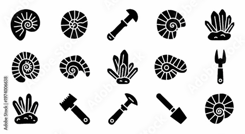 Fossil Ammonite Shells and Tools.