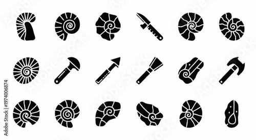 Black icons of ammonites and tools.