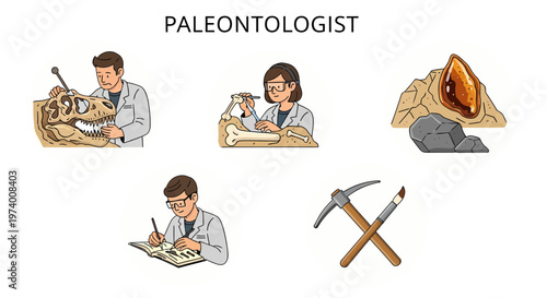 1 set of vector icons depicting Paleontologist at work with fossils.