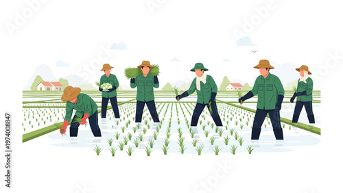 Cultivating Rice: hard-working farmers in coordinated unison carefully tend to a verdant rice paddy, embodying the spirit of community and the art of cultivation.